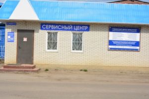 Директор ГАПОУ ПО многопрофлиьный техникум